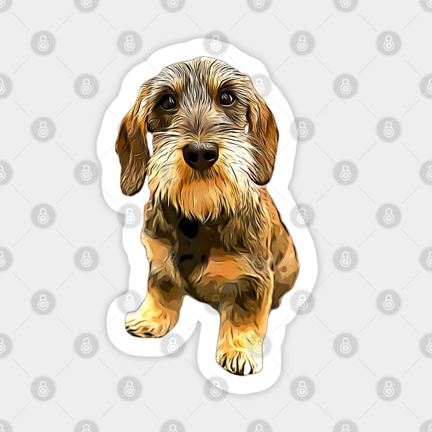 Dachshund Wire Haired Beauty! Sticker by ElegantCat